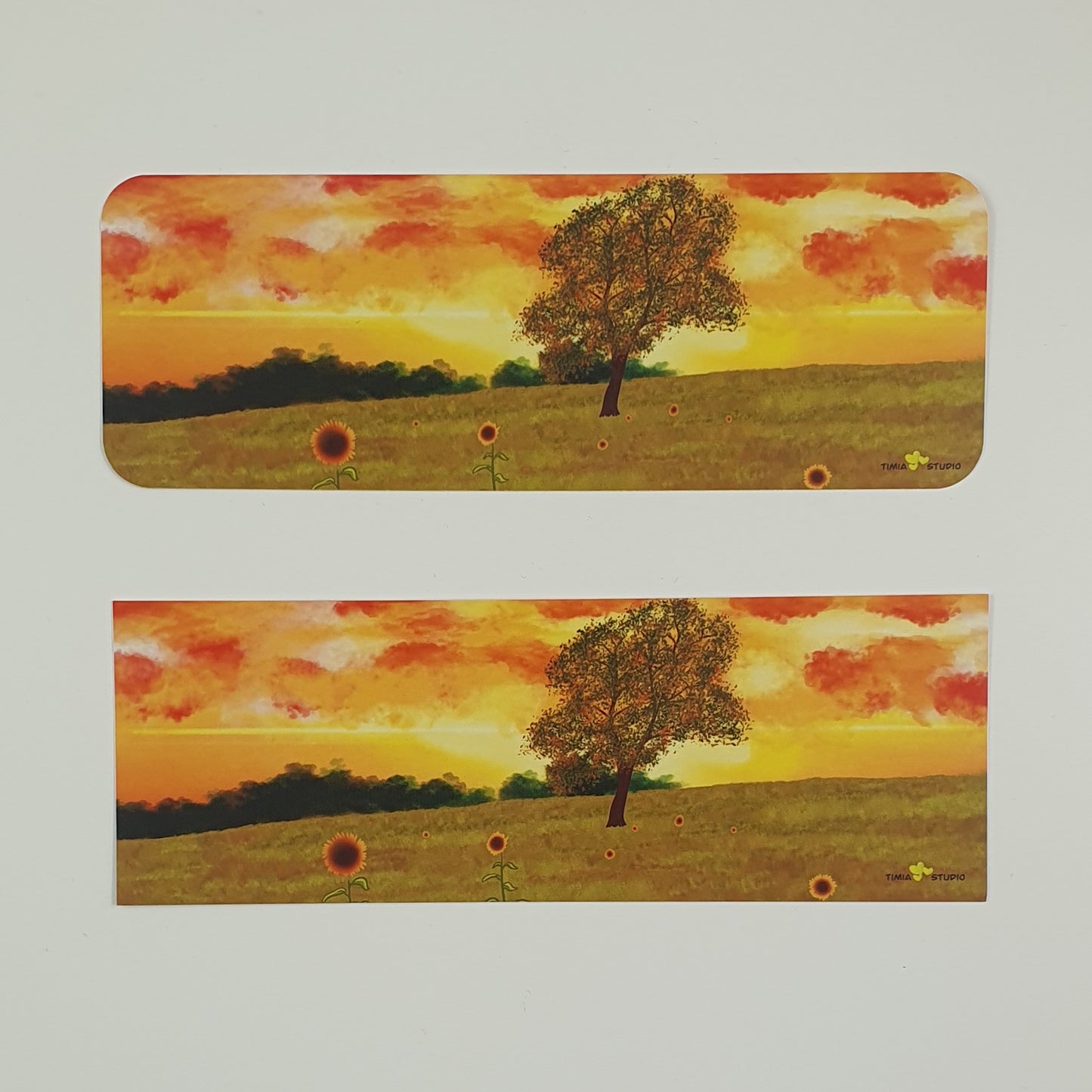 Collection "Crépuscule Enchanté"